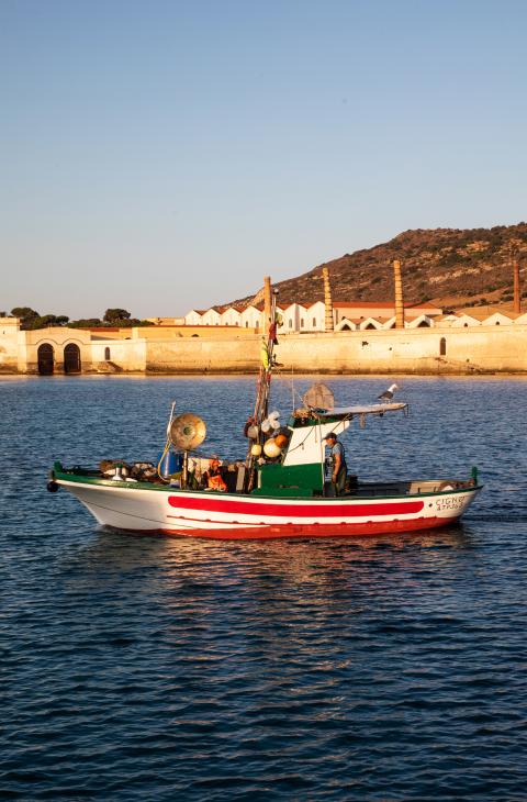 Favignana