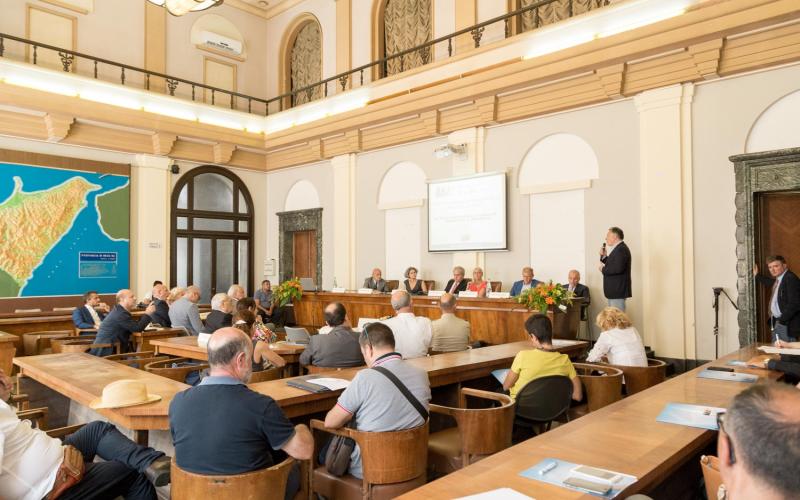 Onlus Giuseppe Franza - Elio Matacena