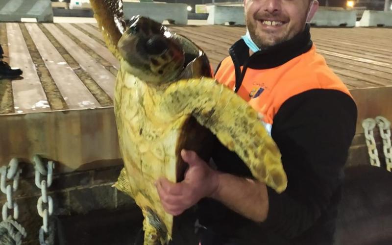 Salvataggio caretta caretta 