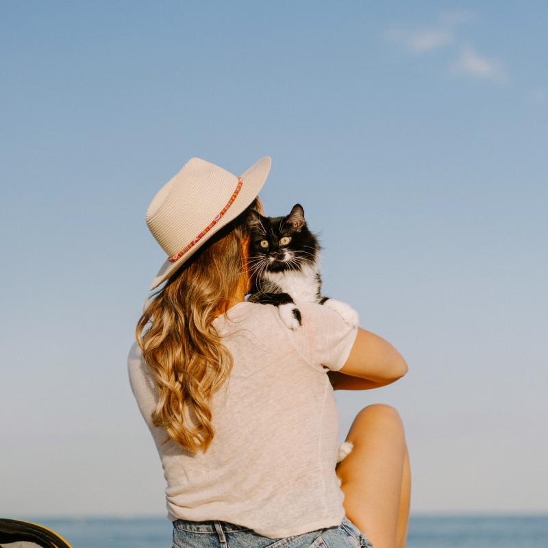 Imbarco animali in traghetto_Caronte & Tourist